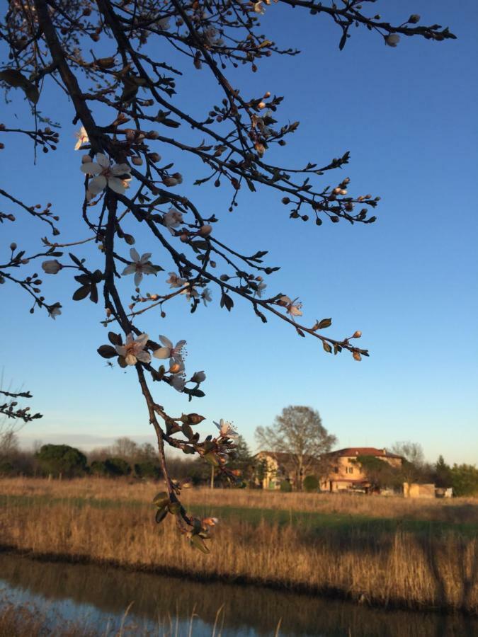 Agriturismo Valle Ca' Del Lovo Carlino Εξωτερικό φωτογραφία