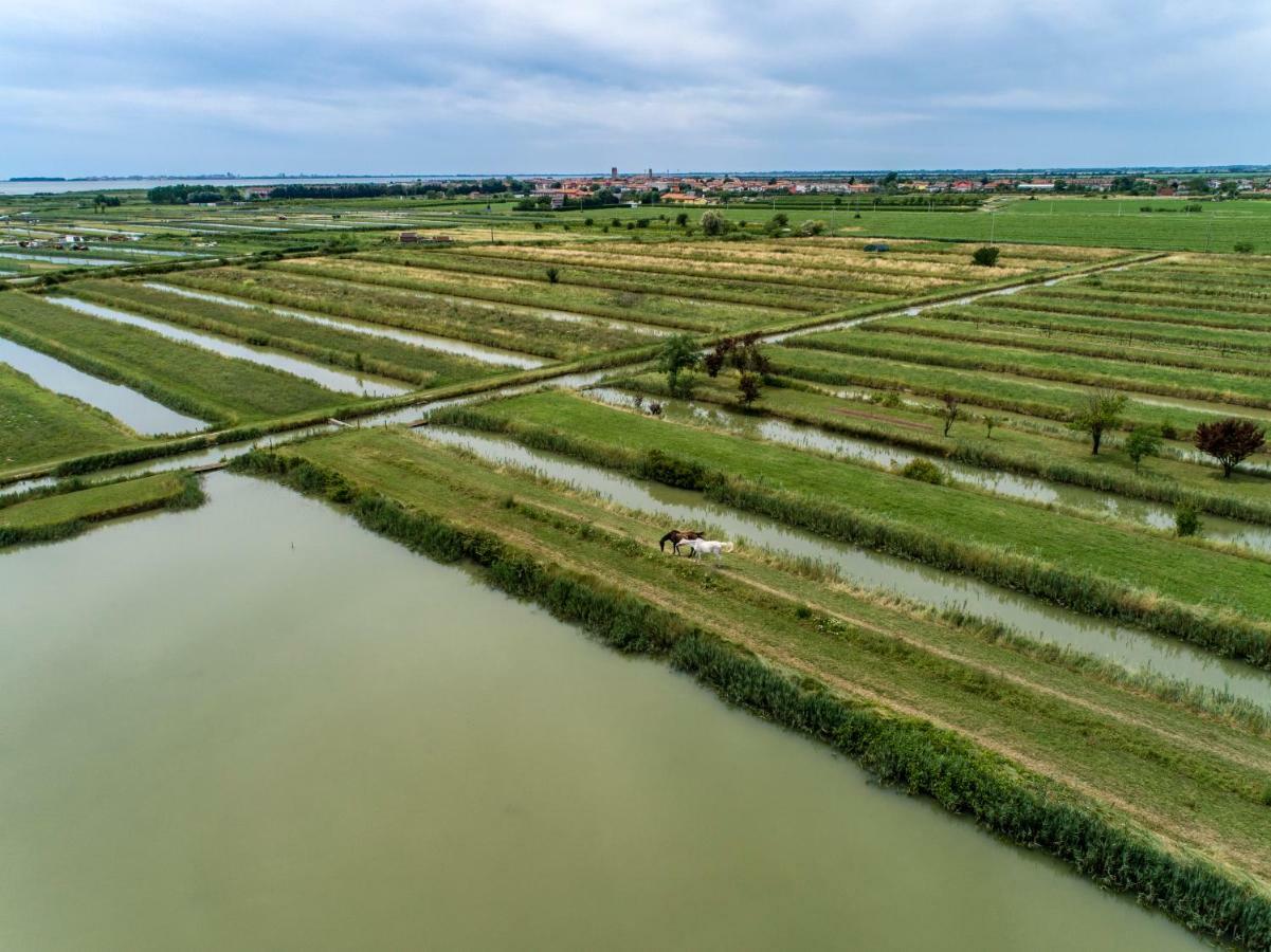 Agriturismo Valle Ca' Del Lovo Carlino Εξωτερικό φωτογραφία